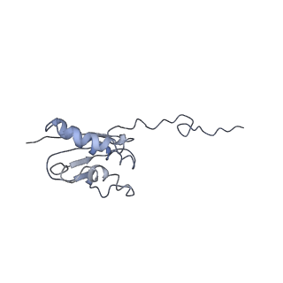 0194_6hcj_R2_v1-1
Structure of the rabbit 80S ribosome on globin mRNA in the rotated state with A/P and P/E tRNAs
