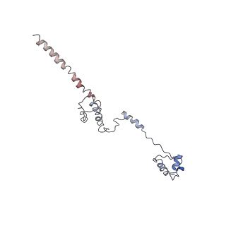0194_6hcj_R3_v1-1
Structure of the rabbit 80S ribosome on globin mRNA in the rotated state with A/P and P/E tRNAs