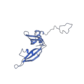 0194_6hcj_S3_v1-1
Structure of the rabbit 80S ribosome on globin mRNA in the rotated state with A/P and P/E tRNAs