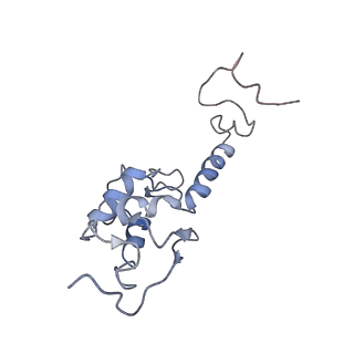 0194_6hcj_T2_v1-1
Structure of the rabbit 80S ribosome on globin mRNA in the rotated state with A/P and P/E tRNAs