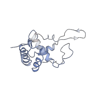 0194_6hcj_U2_v1-1
Structure of the rabbit 80S ribosome on globin mRNA in the rotated state with A/P and P/E tRNAs