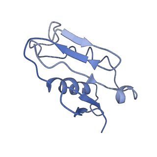 0194_6hcj_U3_v1-1
Structure of the rabbit 80S ribosome on globin mRNA in the rotated state with A/P and P/E tRNAs