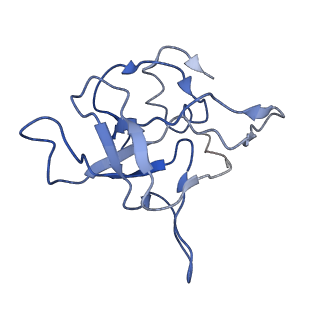 0194_6hcj_V3_v1-1
Structure of the rabbit 80S ribosome on globin mRNA in the rotated state with A/P and P/E tRNAs