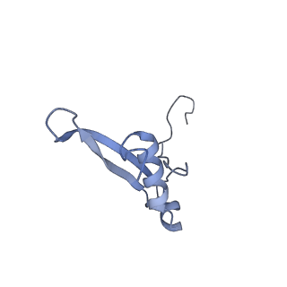 0194_6hcj_W2_v1-1
Structure of the rabbit 80S ribosome on globin mRNA in the rotated state with A/P and P/E tRNAs