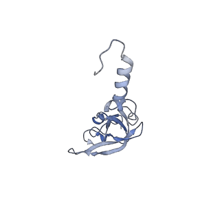 0194_6hcj_Y2_v1-1
Structure of the rabbit 80S ribosome on globin mRNA in the rotated state with A/P and P/E tRNAs