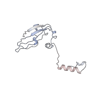 0194_6hcj_Z2_v1-1
Structure of the rabbit 80S ribosome on globin mRNA in the rotated state with A/P and P/E tRNAs