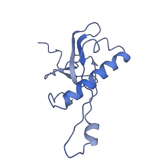 0194_6hcj_Z3_v1-1
Structure of the rabbit 80S ribosome on globin mRNA in the rotated state with A/P and P/E tRNAs