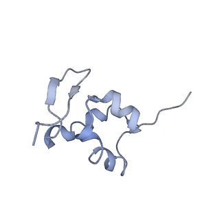 0194_6hcj_a2_v1-1
Structure of the rabbit 80S ribosome on globin mRNA in the rotated state with A/P and P/E tRNAs