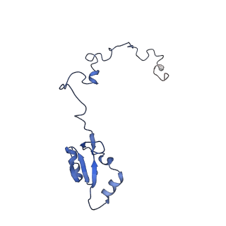 0194_6hcj_a3_v1-1
Structure of the rabbit 80S ribosome on globin mRNA in the rotated state with A/P and P/E tRNAs