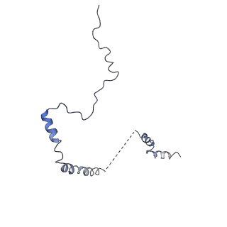 0194_6hcj_b3_v1-1
Structure of the rabbit 80S ribosome on globin mRNA in the rotated state with A/P and P/E tRNAs