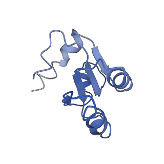 0194_6hcj_c3_v1-1
Structure of the rabbit 80S ribosome on globin mRNA in the rotated state with A/P and P/E tRNAs