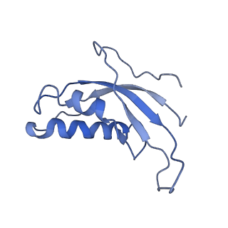0194_6hcj_d3_v1-1
Structure of the rabbit 80S ribosome on globin mRNA in the rotated state with A/P and P/E tRNAs