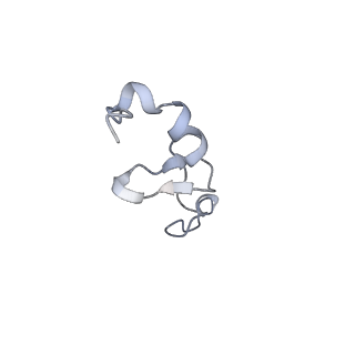 0194_6hcj_e2_v1-1
Structure of the rabbit 80S ribosome on globin mRNA in the rotated state with A/P and P/E tRNAs