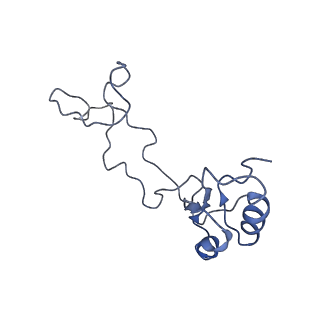 0194_6hcj_e3_v1-1
Structure of the rabbit 80S ribosome on globin mRNA in the rotated state with A/P and P/E tRNAs