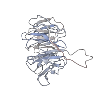 0194_6hcj_h2_v1-1
Structure of the rabbit 80S ribosome on globin mRNA in the rotated state with A/P and P/E tRNAs