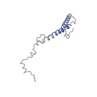 0194_6hcj_h3_v1-1
Structure of the rabbit 80S ribosome on globin mRNA in the rotated state with A/P and P/E tRNAs