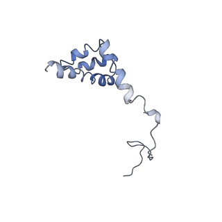 0194_6hcj_i3_v1-1
Structure of the rabbit 80S ribosome on globin mRNA in the rotated state with A/P and P/E tRNAs