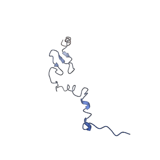 0194_6hcj_j3_v1-1
Structure of the rabbit 80S ribosome on globin mRNA in the rotated state with A/P and P/E tRNAs