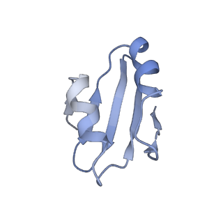 0194_6hcj_k3_v1-1
Structure of the rabbit 80S ribosome on globin mRNA in the rotated state with A/P and P/E tRNAs