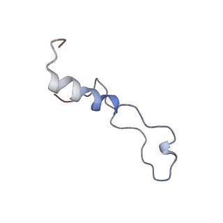 0194_6hcj_l3_v1-1
Structure of the rabbit 80S ribosome on globin mRNA in the rotated state with A/P and P/E tRNAs