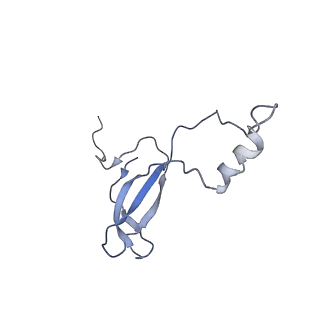 0194_6hcj_o3_v1-1
Structure of the rabbit 80S ribosome on globin mRNA in the rotated state with A/P and P/E tRNAs