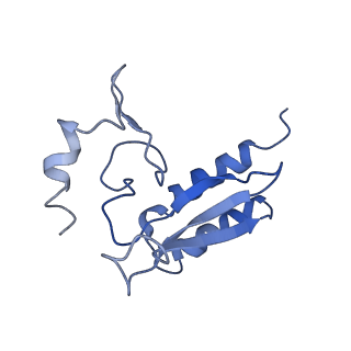 0194_6hcj_r3_v1-1
Structure of the rabbit 80S ribosome on globin mRNA in the rotated state with A/P and P/E tRNAs