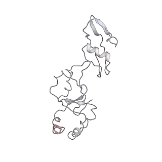 0194_6hcj_t3_v1-1
Structure of the rabbit 80S ribosome on globin mRNA in the rotated state with A/P and P/E tRNAs