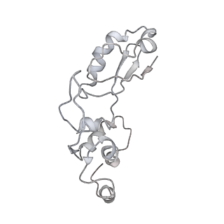 0194_6hcj_u3_v1-1
Structure of the rabbit 80S ribosome on globin mRNA in the rotated state with A/P and P/E tRNAs