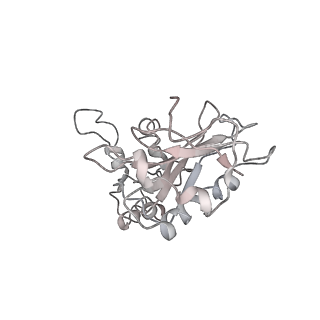0194_6hcj_w3_v1-1
Structure of the rabbit 80S ribosome on globin mRNA in the rotated state with A/P and P/E tRNAs