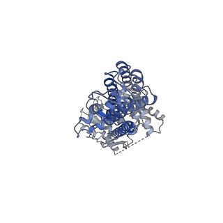 0196_6hco_A_v1-2
Cryo-EM structure of the ABCG2 E211Q mutant bound to estrone 3-sulfate and 5D3-Fab