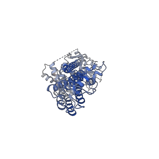 0196_6hco_B_v1-2
Cryo-EM structure of the ABCG2 E211Q mutant bound to estrone 3-sulfate and 5D3-Fab