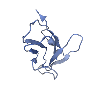 0196_6hco_C_v1-2
Cryo-EM structure of the ABCG2 E211Q mutant bound to estrone 3-sulfate and 5D3-Fab