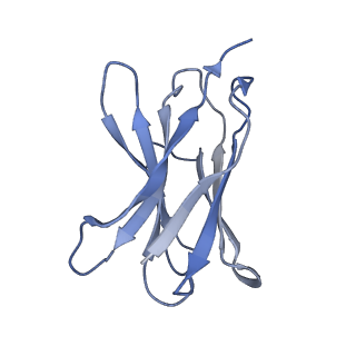 0196_6hco_D_v1-2
Cryo-EM structure of the ABCG2 E211Q mutant bound to estrone 3-sulfate and 5D3-Fab