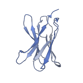 0196_6hco_D_v2-0
Cryo-EM structure of the ABCG2 E211Q mutant bound to estrone 3-sulfate and 5D3-Fab
