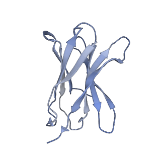 0196_6hco_F_v2-0
Cryo-EM structure of the ABCG2 E211Q mutant bound to estrone 3-sulfate and 5D3-Fab