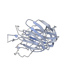 34653_8hc6_B_v1-1
SARS-CoV-2 Omicron BA.1 spike trimer (6P) in complex with YB9-258 Fab, focused refinement of Fab region