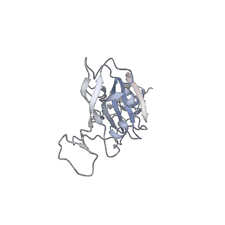 34653_8hc6_C_v1-1
SARS-CoV-2 Omicron BA.1 spike trimer (6P) in complex with YB9-258 Fab, focused refinement of Fab region