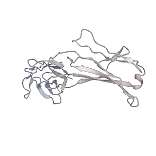 34653_8hc6_L_v1-1
SARS-CoV-2 Omicron BA.1 spike trimer (6P) in complex with YB9-258 Fab, focused refinement of Fab region