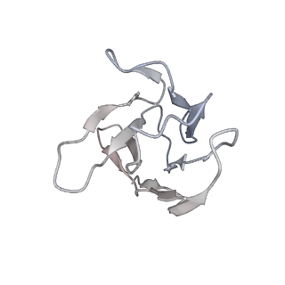 34654_8hc7_L_v1-1
SARS-CoV-2 Omicron BA.1 spike trimer (6P) complex with YB9-258 Fab, focused refinement of RBD-dimer region