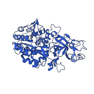 34659_8hcn_C_v1-0
CryoEM Structure of Klebsiella pneumoniae UreD/urease complex