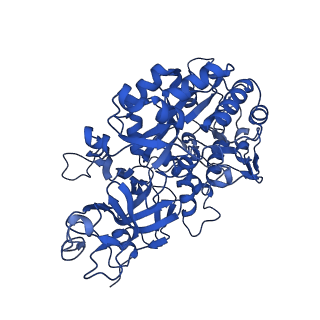 34659_8hcn_G_v1-0
CryoEM Structure of Klebsiella pneumoniae UreD/urease complex