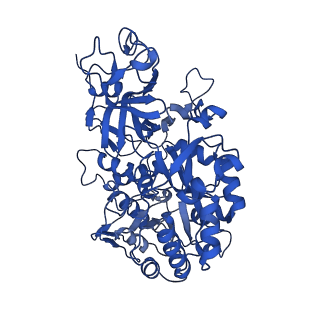 34659_8hcn_K_v1-0
CryoEM Structure of Klebsiella pneumoniae UreD/urease complex