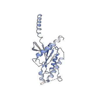 34663_8hcq_A_v1-1
Cryo-EM structure of endothelin1-bound ETAR-Gq complex