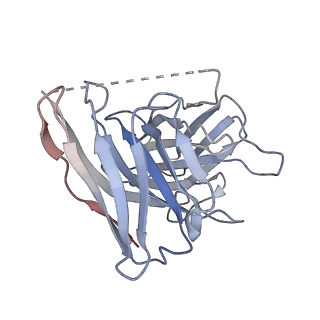 34663_8hcq_E_v1-1
Cryo-EM structure of endothelin1-bound ETAR-Gq complex