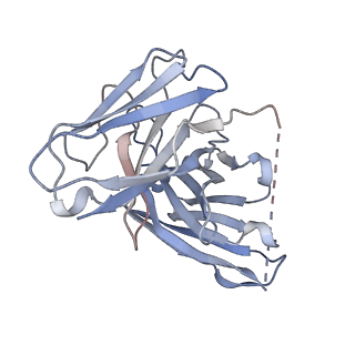 34667_8hcx_E_v1-1
Cryo-EM structure of Endothelin1-bound ETBR-Gq complex