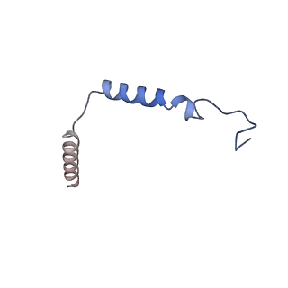 34667_8hcx_G_v1-1
Cryo-EM structure of Endothelin1-bound ETBR-Gq complex