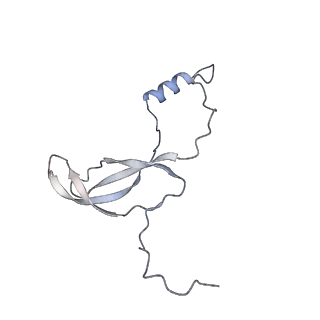 0202_6hd7_C_v1-2
Cryo-EM structure of the ribosome-NatA complex
