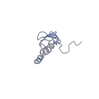 0202_6hd7_D_v1-2
Cryo-EM structure of the ribosome-NatA complex