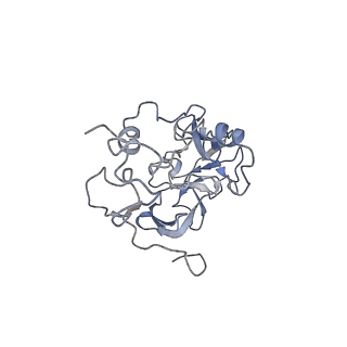 0202_6hd7_E_v1-2
Cryo-EM structure of the ribosome-NatA complex