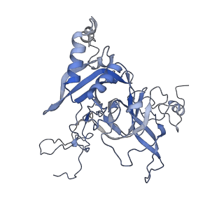 0202_6hd7_F_v1-2
Cryo-EM structure of the ribosome-NatA complex